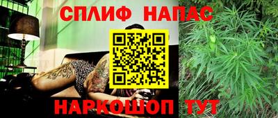прущие грибы Бузулук