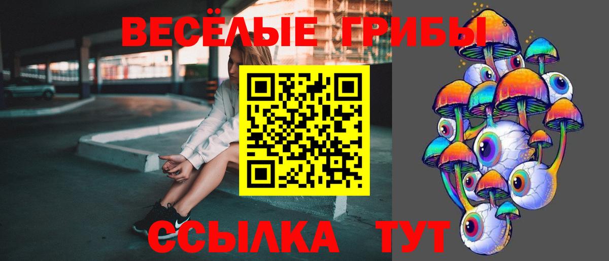 Псилоцибиновые грибы GOLDEN TEACHER Краснотурьинск