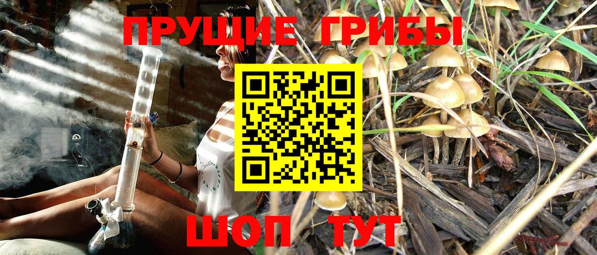 Краснотурьинск  Псилоцибиновые грибы мухоморы  магазин    Вход с VPN  Галлюциногенные грибы прущие грибы 